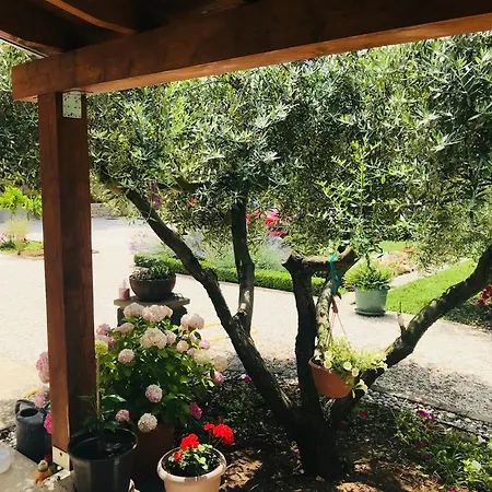 Apartment Green Διαμέρισμα Ζαντάρ