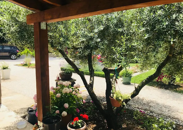 Apartment Green Daire Zadar