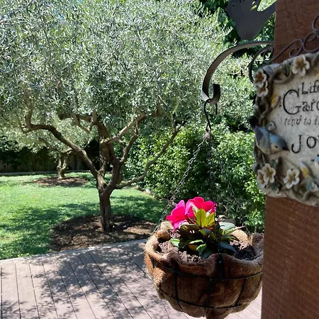 Apartment Green Задар